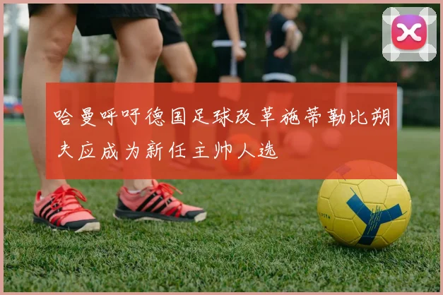 哈曼呼吁德国足球改革施蒂勒比朔夫应成为新任主帅人选