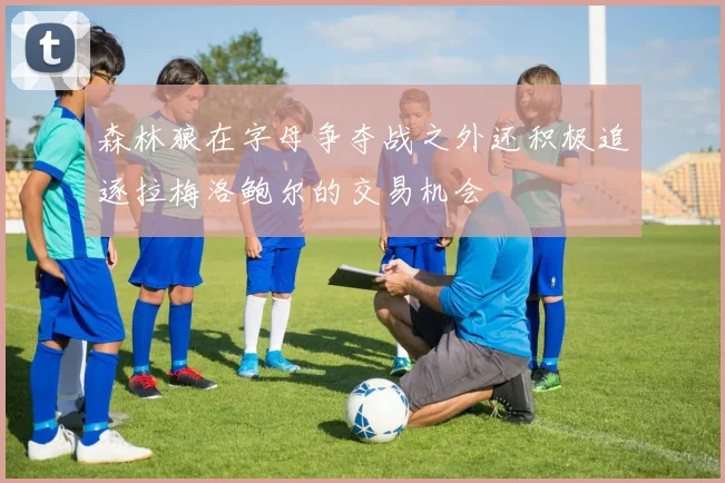 森林狼在字母争夺战之外还积极追逐拉梅洛鲍尔的交易机会